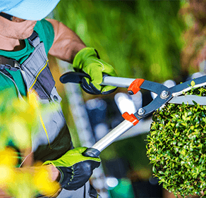 maintenance of Ricol nursery, Macon, maintenance of green spaces 