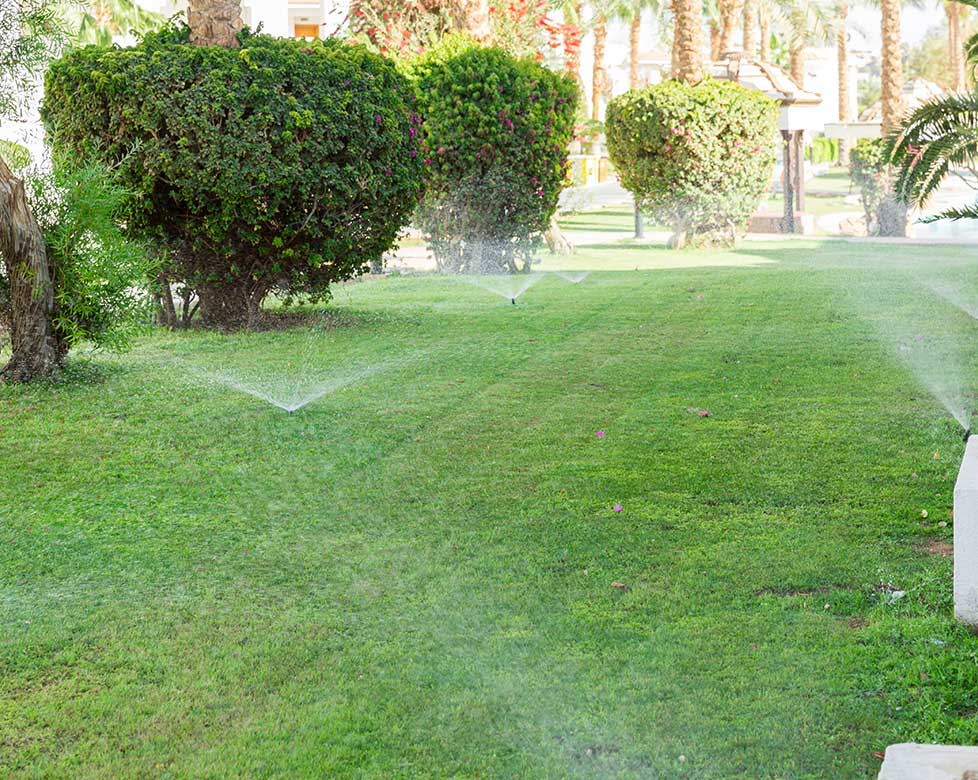 arrosage automatique , longévité des végétaux, savoir faire, qualité, Ricol pépinière, Macon, entretien espaces verts 